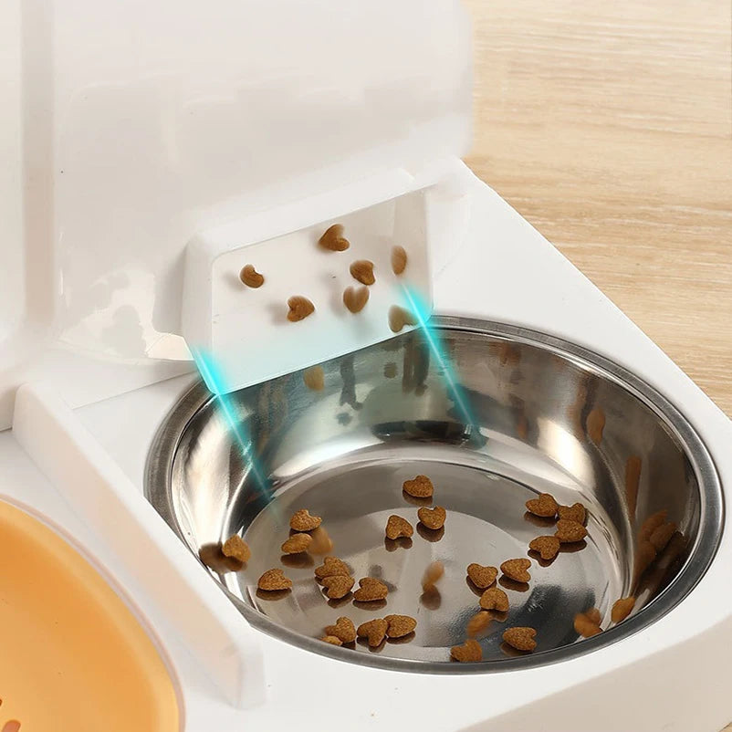 SUNNY Bowl – Le Distributeur Solaire & Joyeux