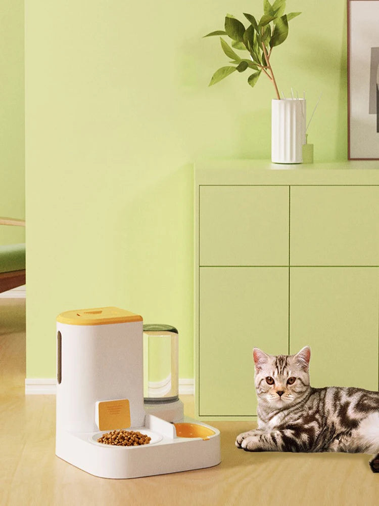 SUNNY Bowl – Le Distributeur Solaire & Joyeux