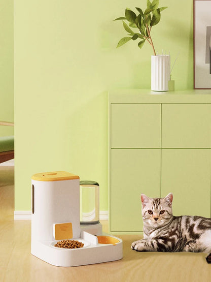 SUNNY Bowl – Le Distributeur Solaire & Joyeux